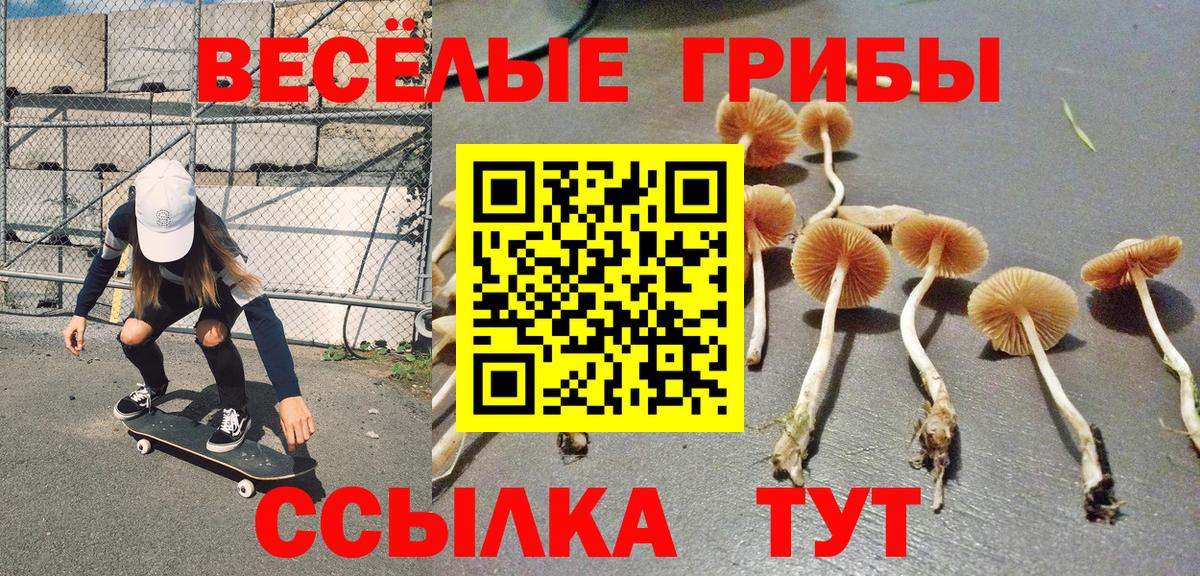 Псилоцибиновые грибы Cubensis Владикавказ